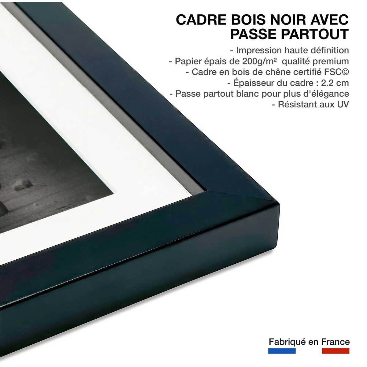 Affiche animaux zèbre en balade Affiche sous cadre noir