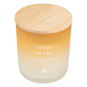 Bougie parfumée Sana 255g pot verre Terre de Feu