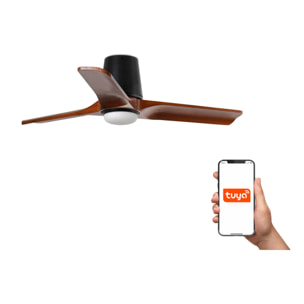 HEYWOOD TUB LED S Ventilateur de plafond noir/noyer TUYA