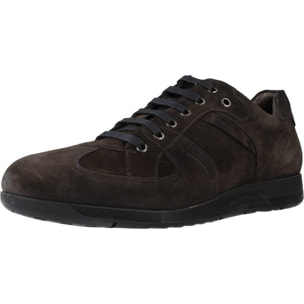 DERBIES - OXFORD STONEFLY LONDON 1 VELOUR