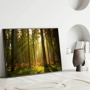 Affiche encadrée forêt baignée de lumière dorée Affiche + cadre en métal - Noir