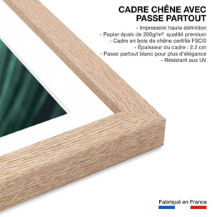 Affiche feuille palmen Affiche + cadre en bois - Chêne