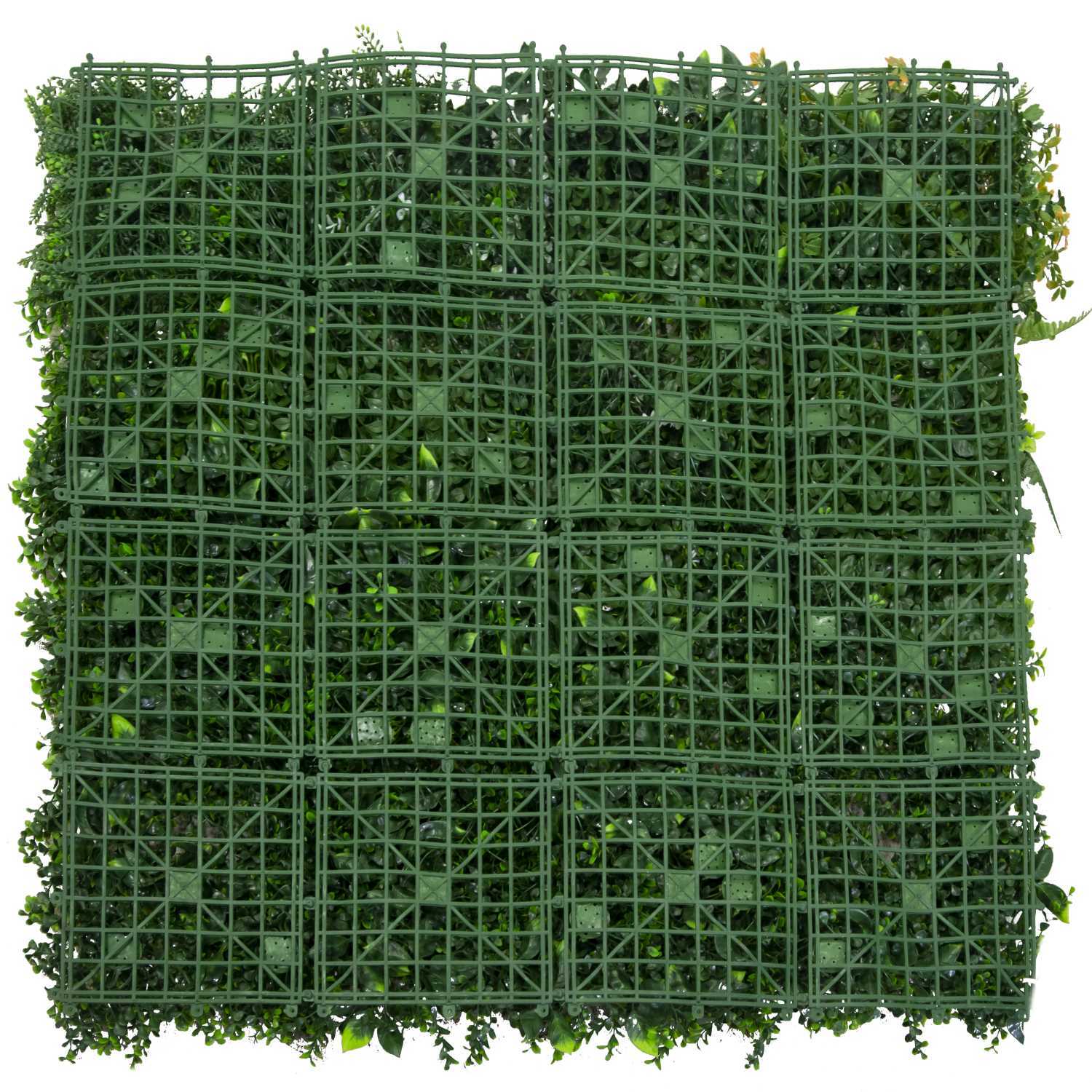 Parete verde verticale Vacchetti cm100x100