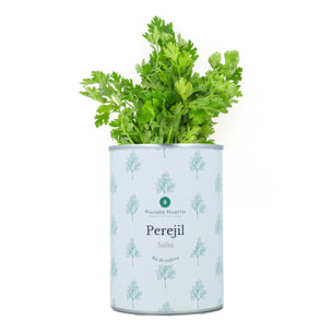 Pack Kits de cultivo aromáticas Planeta Huerto