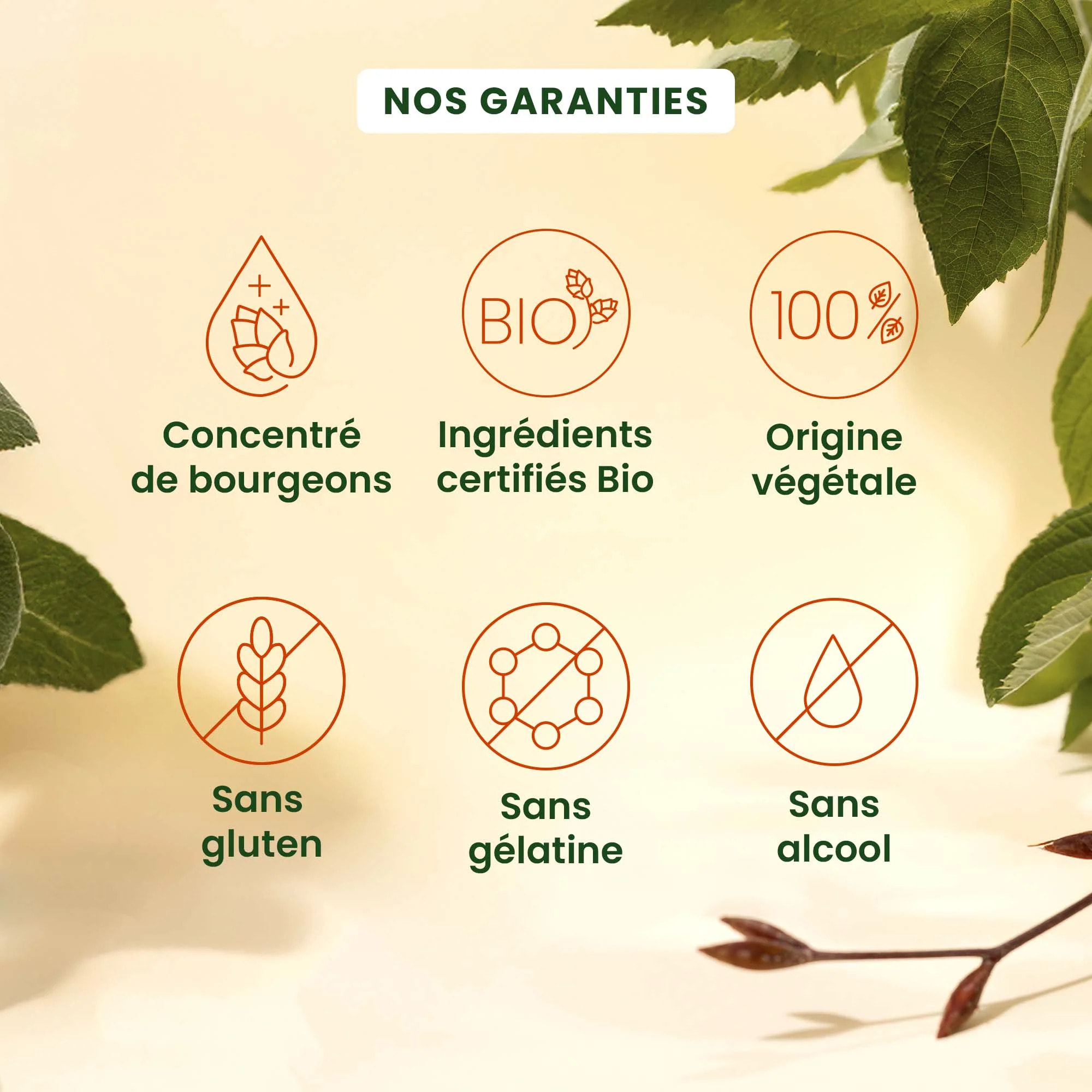 Herbalgem- Complément alimentaire Cognition - 30 GELULES