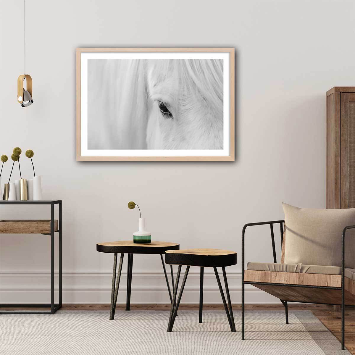 Poster cheval blanc d' islande Affiche sous cadre bois