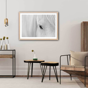 Poster cheval blanc d' islande Affiche sous cadre bois