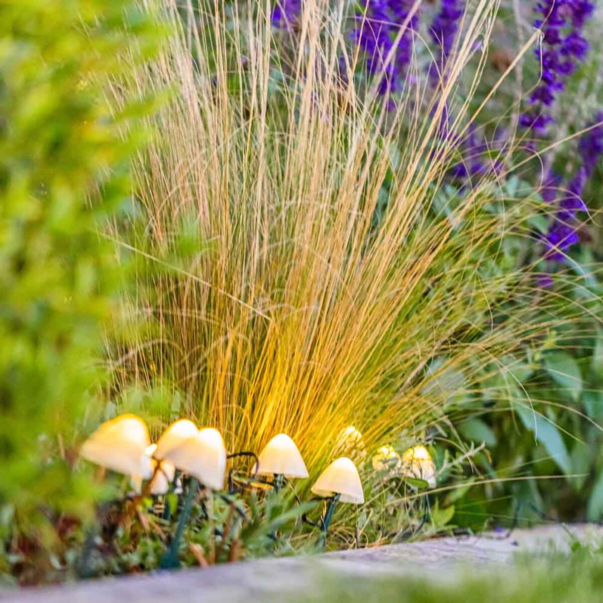 10 Champignon solaire CHAMPY 3.8M