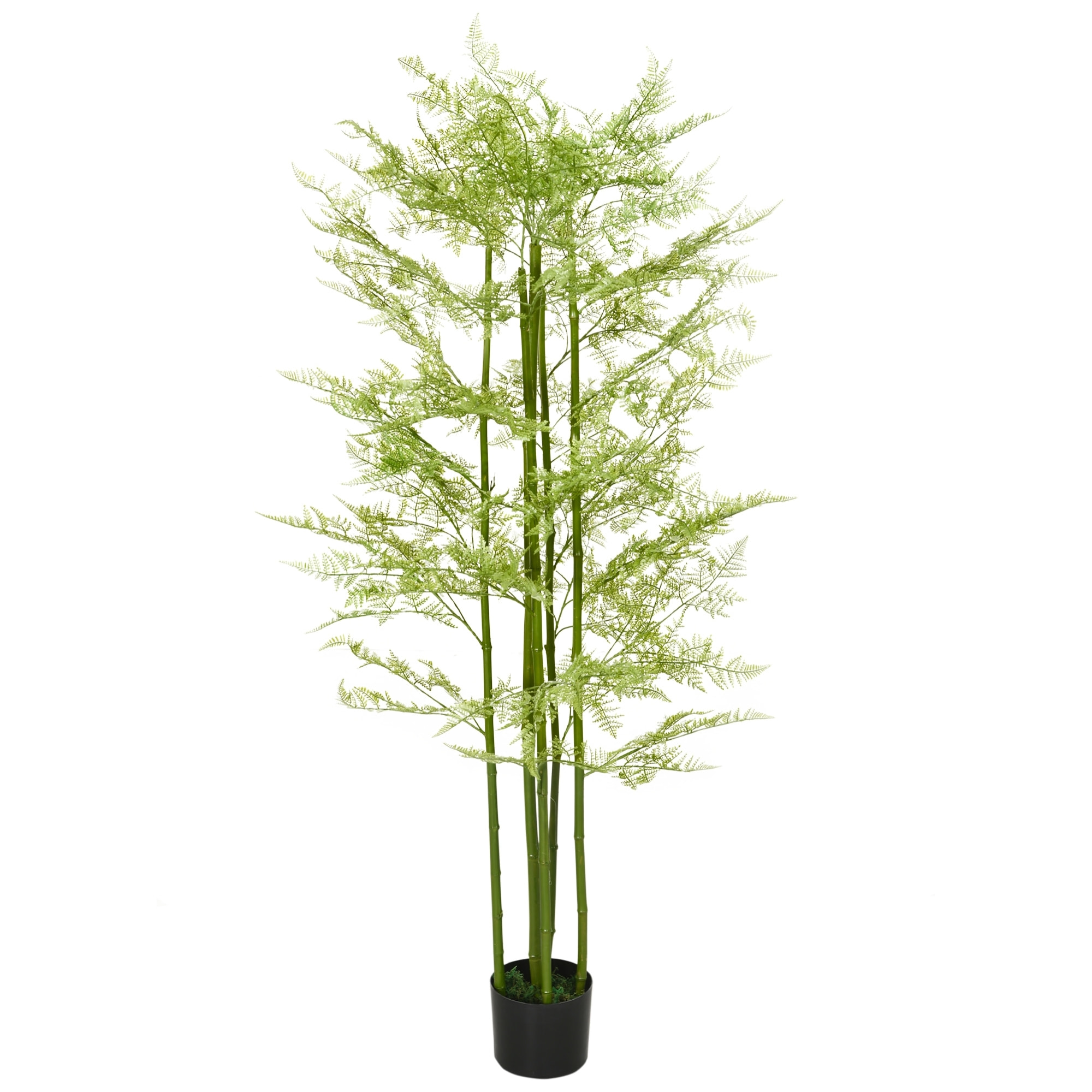 Plante artificielle aspect haute fougère H. 155 cm 28 feuilles denses réalistes pot inclus noir avec lichen vert