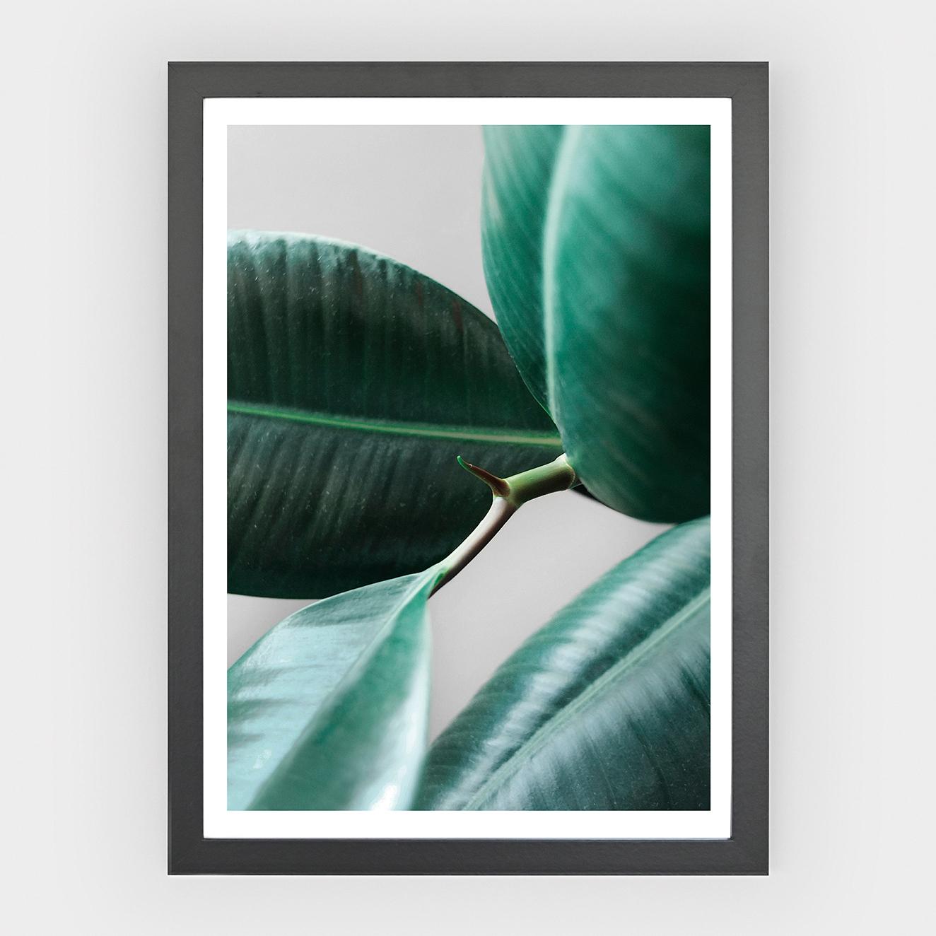 Poster Leaf