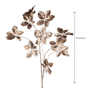 Faggio - Pezzi 6 - 17xH132x18cm - Bianchi Dino SpA