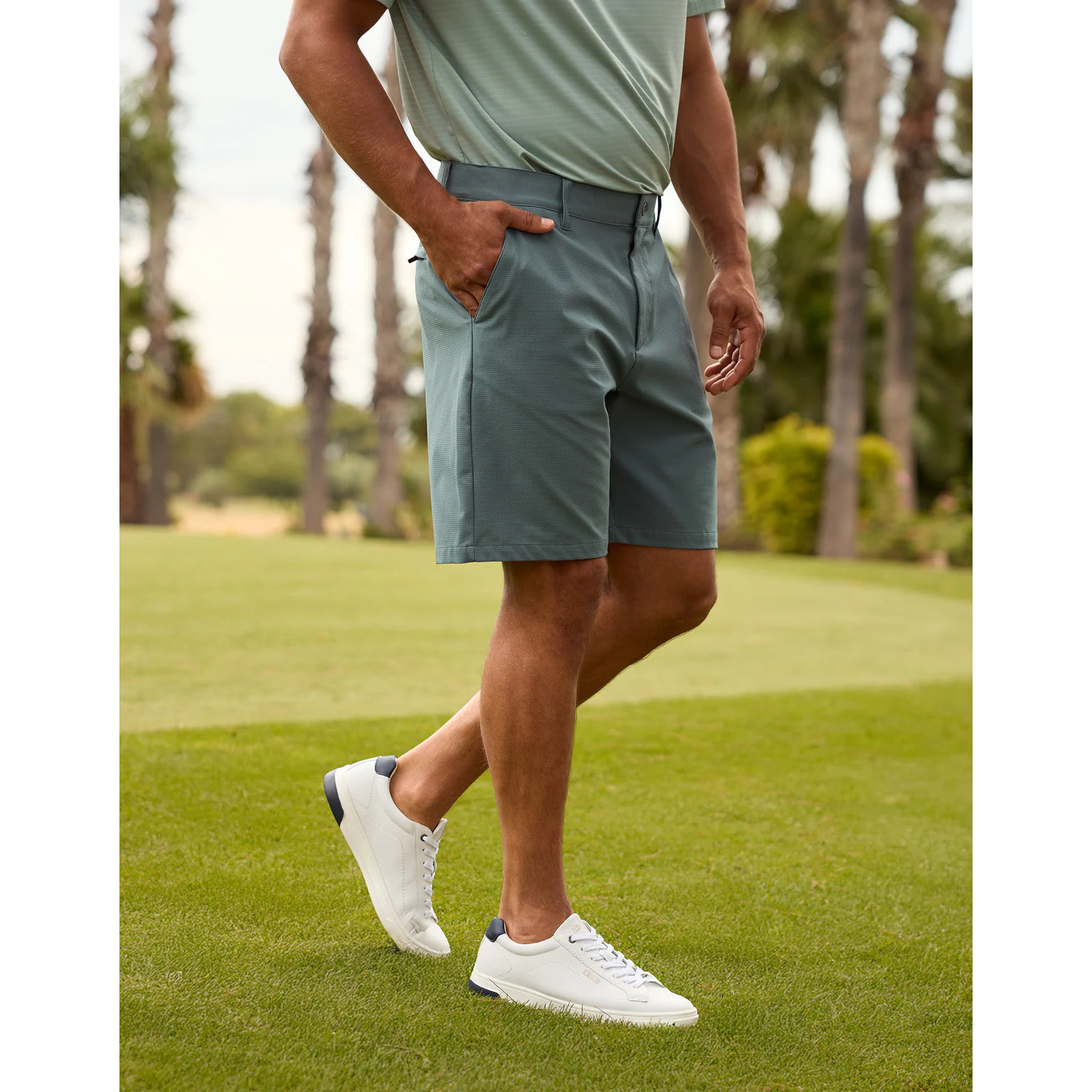 Bermuda Verde - Pantland