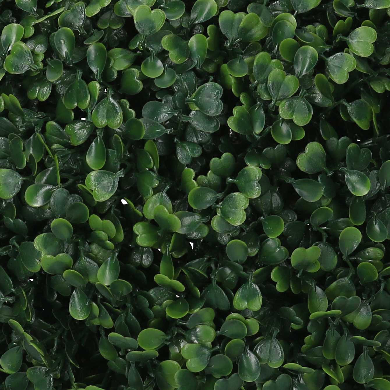 Bosso Vacchetti verde tondo cm ø28h28