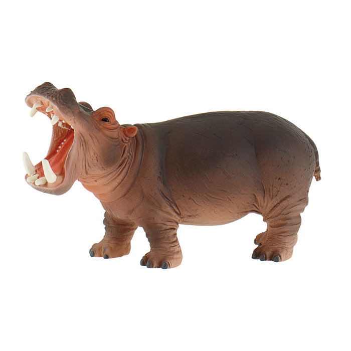 Safari/Ippopotamo
