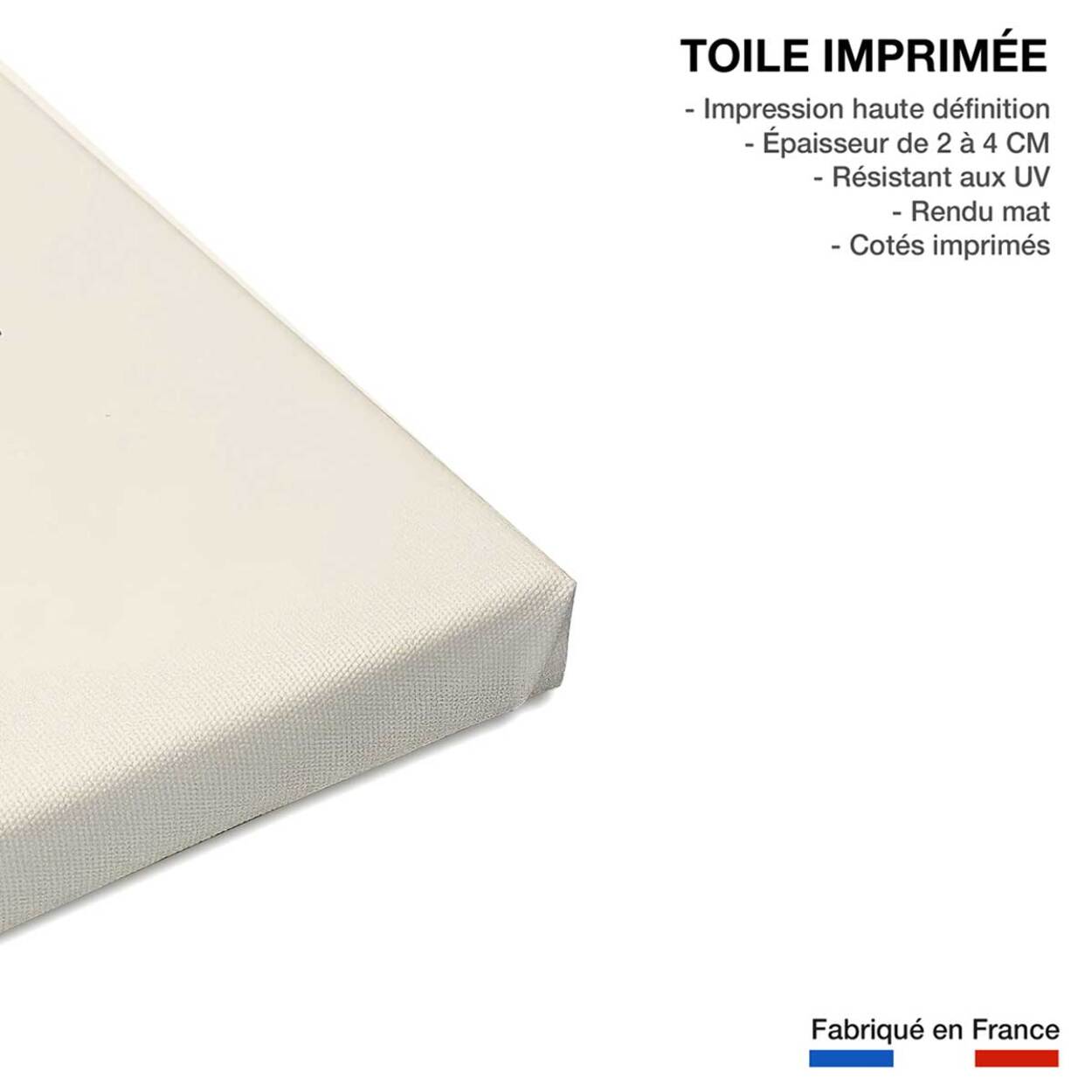 Tableau trois palmier noir Toile imprimée