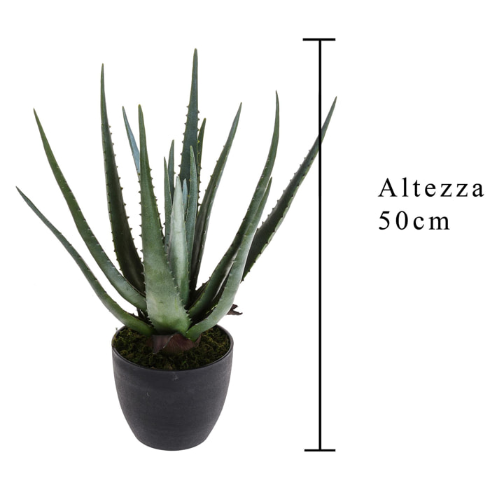 Aloe con vaso, 17 foglie - Pezzi 1 - 34X50X30 - Colore: Verde - Bianchi Dino - Piante Artificiali