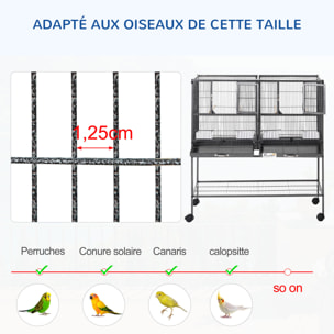 Cage à oiseaux avec séparation mangeoire et perchoir 95L x 45l x 102H cm Noir et Gris