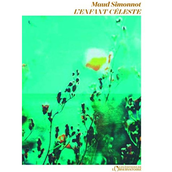 Simonnot, Maud | L'Enfant Céleste | Livre d'occasion