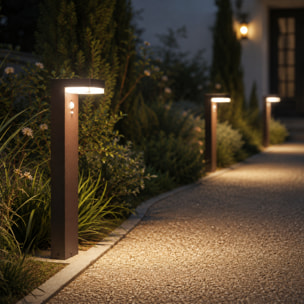 Potelet solaire CENOVA TALL H50CM 600LM
