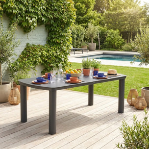 Table de jardin aluminium 10 places  ZARO