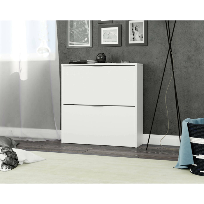Scarpiera Anakin, Armadio portascarpe a 2 ante a ribalta, Scarpiera bassa da ingresso, Mobile basso, 75x22h76 cm, Bianco