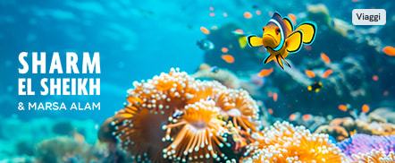 Sharm El-Sheikh e Marsa Alam