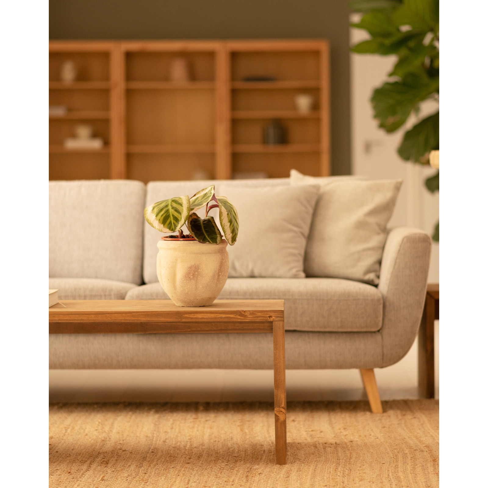 Table basse en bois massif ton chêne foncé de 110x45x35cm Hauteur: 45 Longueur: 110 Largeur: 35