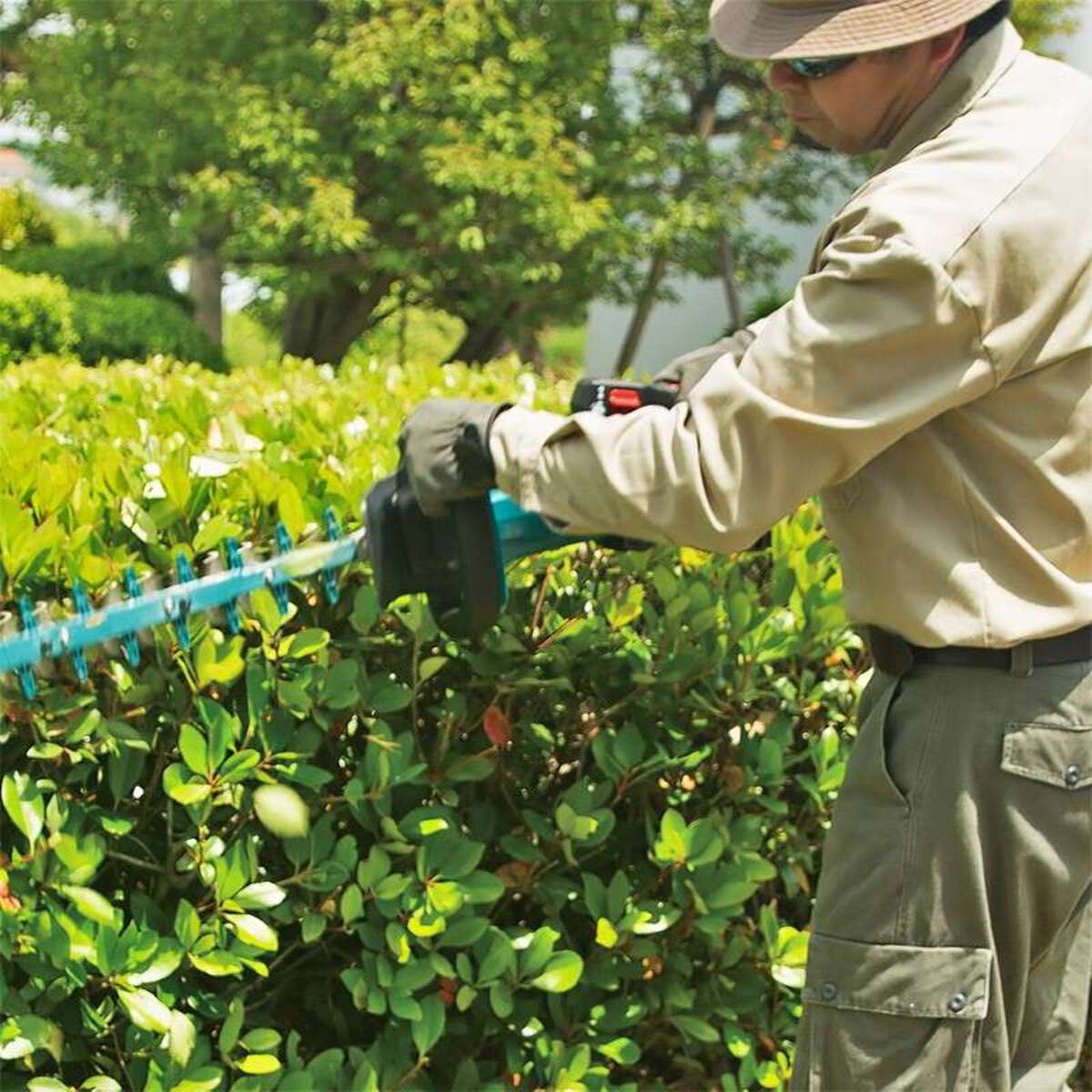 Taille-haie LXT 50 cm - MAKITA - avec 1 batterie 3.0Ah et chargeur - DUH502SF