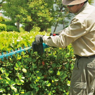 Taille-haie LXT 50 cm - MAKITA - avec 1 batterie 3.0Ah et chargeur - DUH502SF