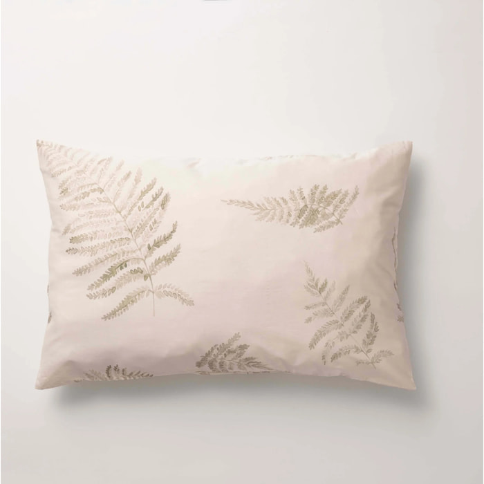 Taie d'oreiller 100% coton 157 fils Biar