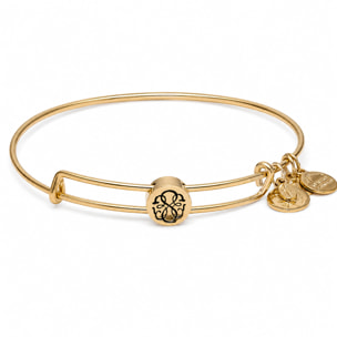 Pulsera Alex And Ani Mujer SSEWB04G