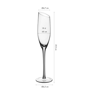 Flûte 19cl SVÄVA - 6 pièces