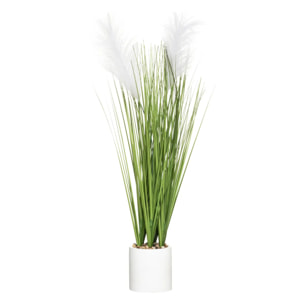 Plante artificielle "Plumeau" pot ciment H70cm