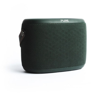 Radio DAB PURE Woodland Green