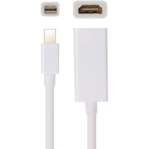Adaptateur HDMI/DVI ESSENTIELB HDMI vers DVI
