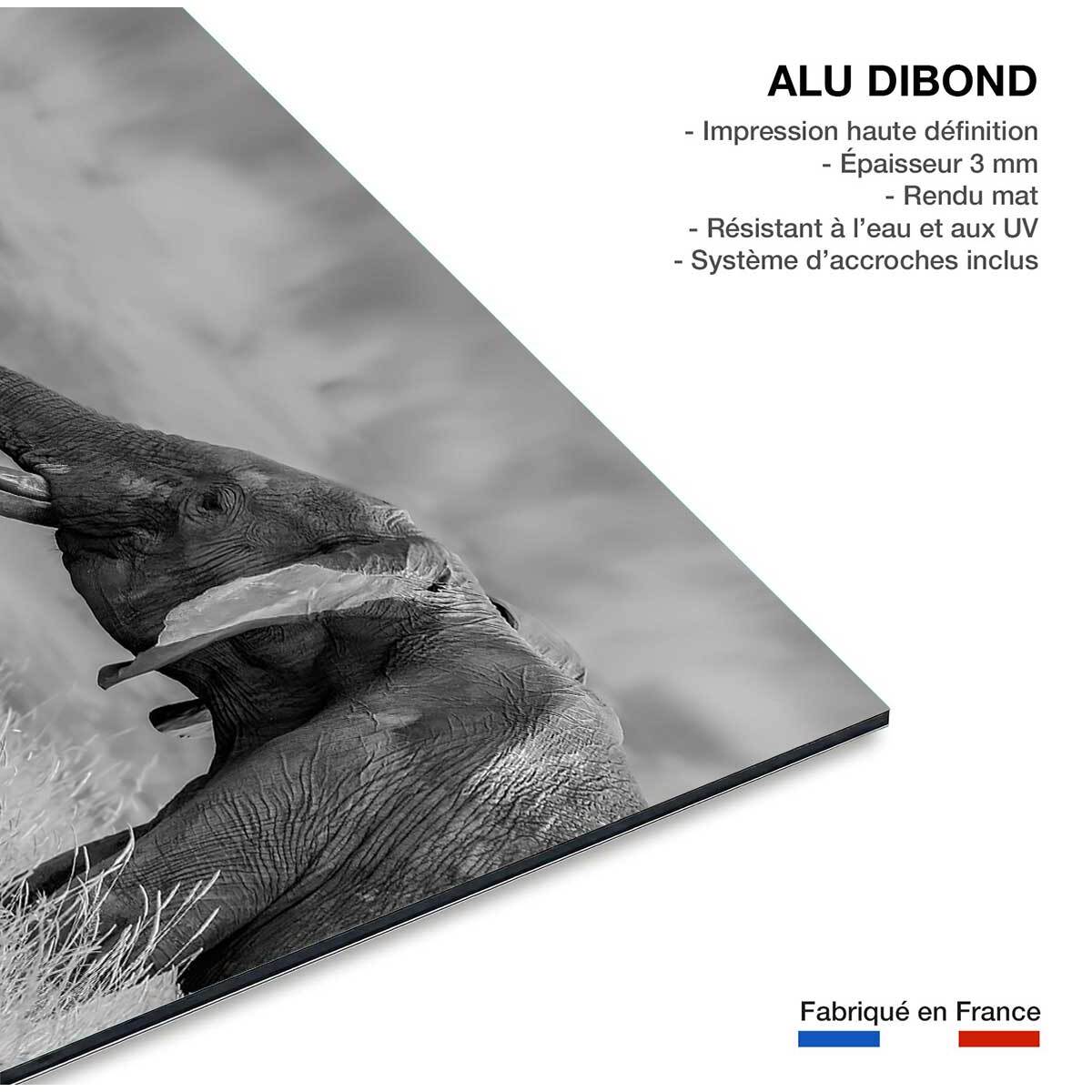 Tableau éléphant qui es tu? Tableau alu Dibond