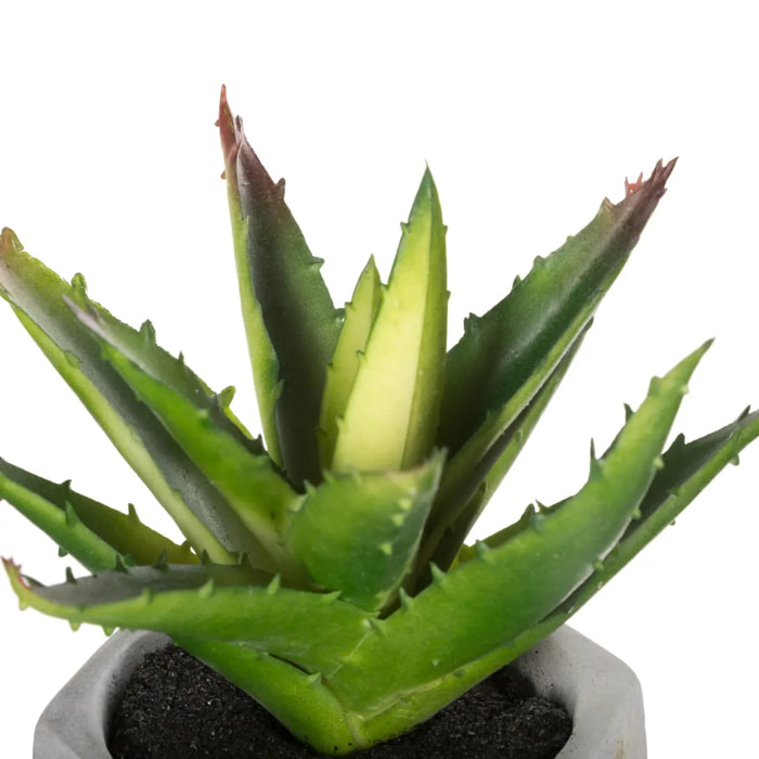 Plante grasse artificielle - pot en ciment - H14 cm