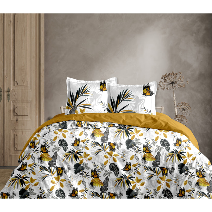 Parure Butterfly Housse de couette 260x240 + 2 Taies - 100% Coton 57 fils - Certifié Oeko-tex