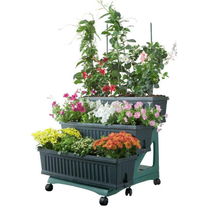 Orto Easy - Kit di 3 fioriere da 80 cm con sottovaso e carrello a 3 livelli Colore verde. Made in Italy