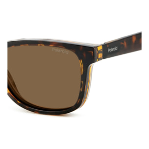 Gafas Pregraduadas Polaroid PLD 0030/R/C 086 53 +1.50 Polarizadas Unisex 53 mm
