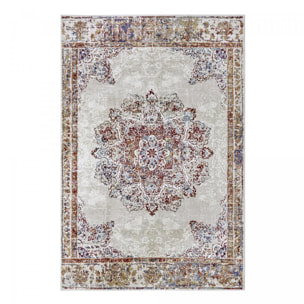 Tapis salon Rectangulaire Oriental