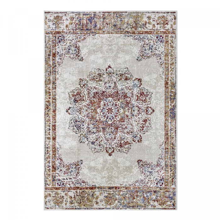 Tapis salon Rectangulaire Oriental