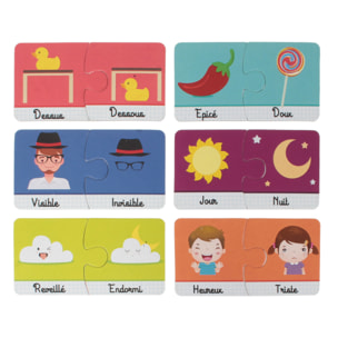 CARTE EDUCATIVE J APPRENDS LES CONTRAIRES X30