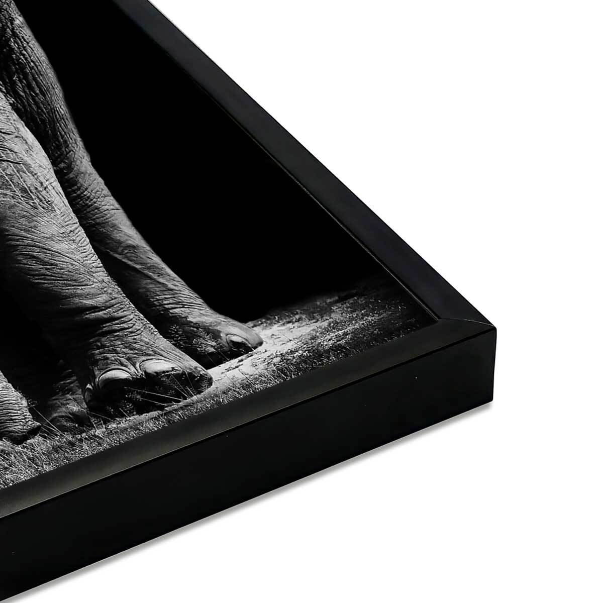 Affiche encadrée éléphant majestueux sur fond noir Affiche + cadre en métal - Noir