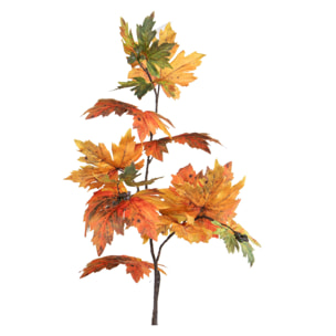 Platano - Pezzi 12 - 20xH99x20cm - Bianchi Dino SpA