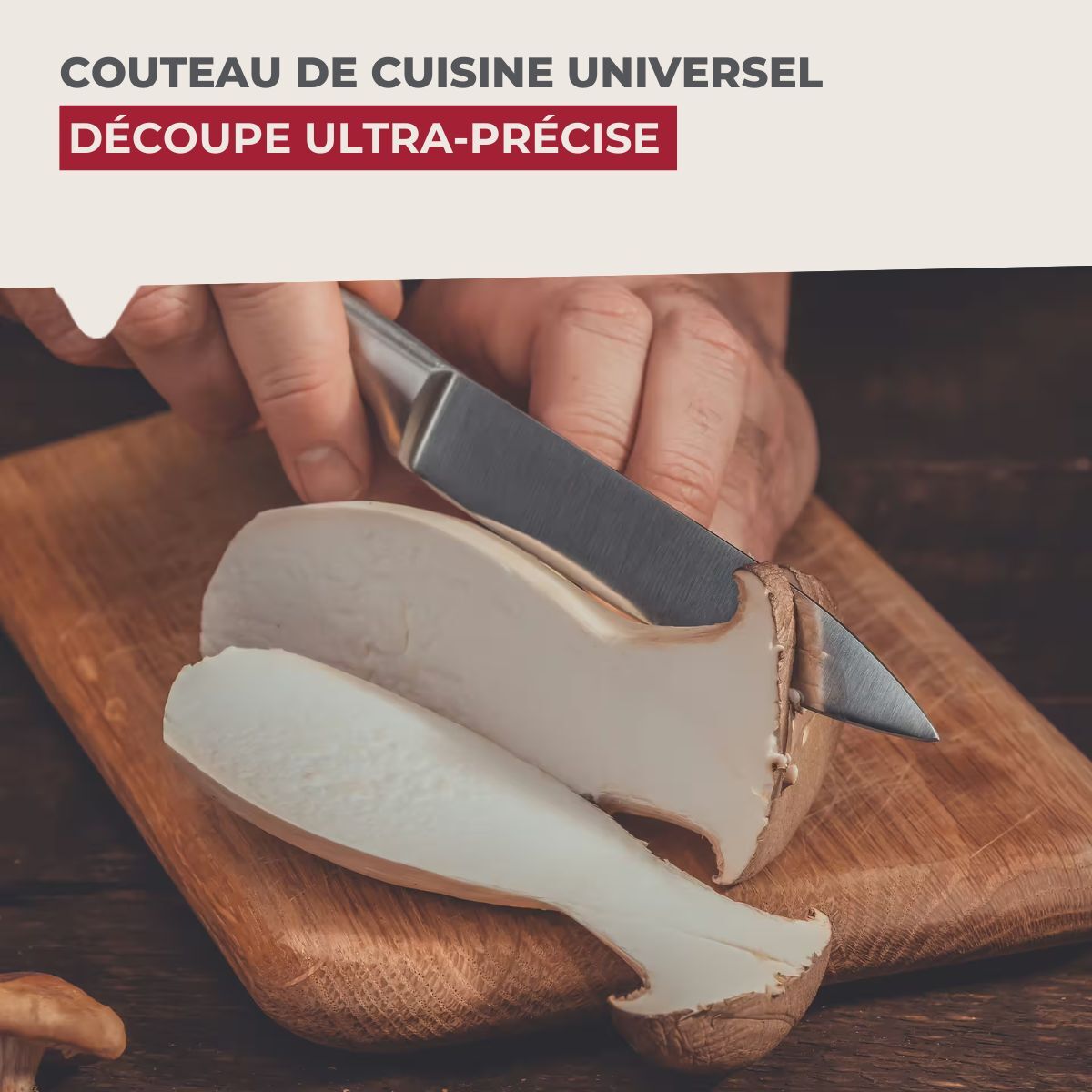 Ensemble de 6 Couteaux de cuisine universel 24 cm en tout Nirosta Star