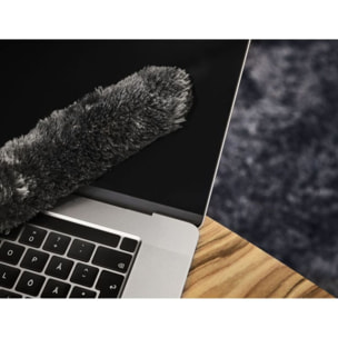 Plumeau ELECTROLUX KIT22 performance filtre brosse aspirateur balai Animal