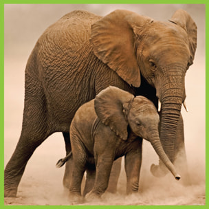 WWF PUZLE - ELEFANTE 100 PIEZAS