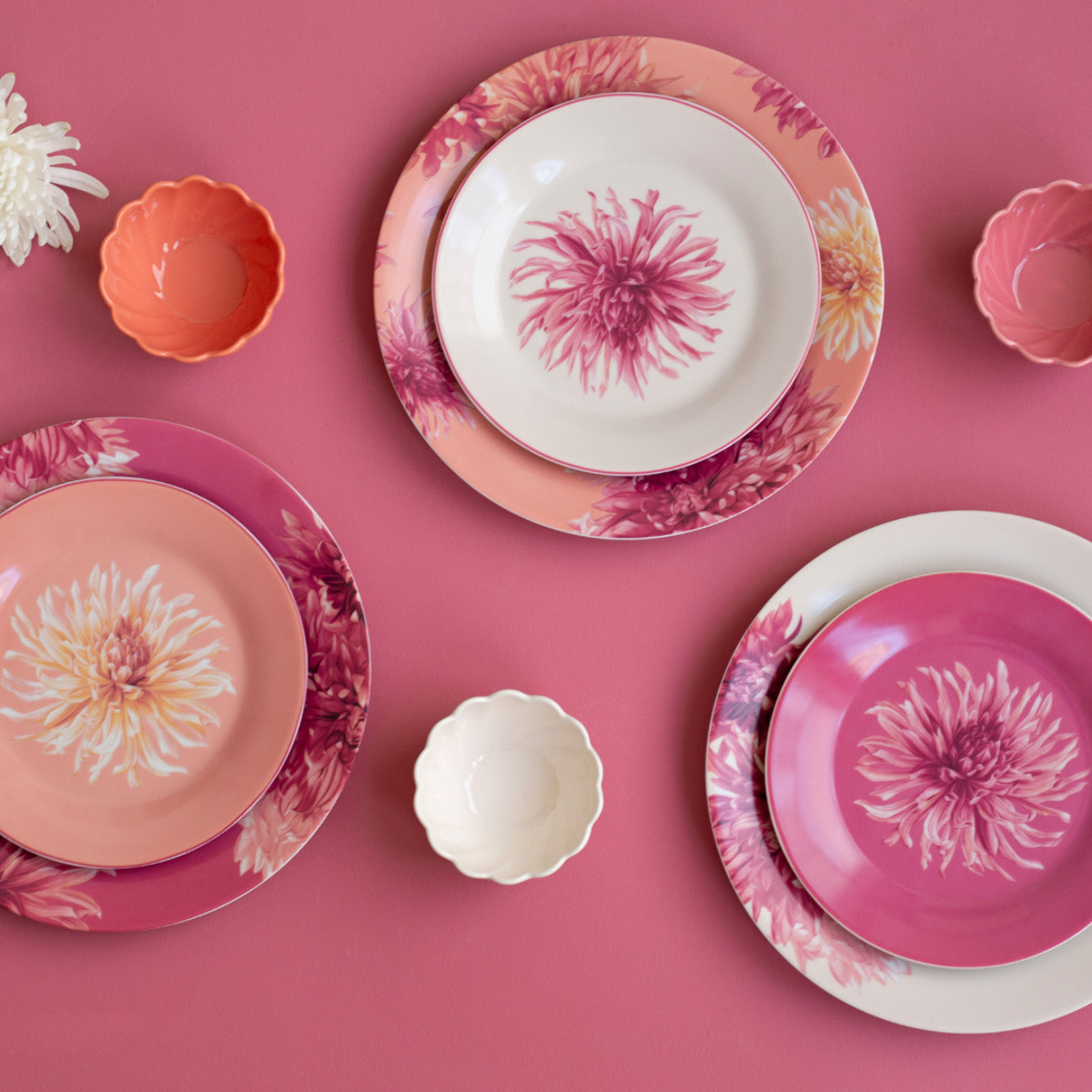 Lot de 6 petites assiettes, FLORA