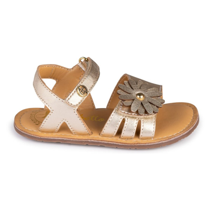 SANDALIA BAREFOOT ORO – FLOR METÁLICA Y DESTELLOS DORADOS